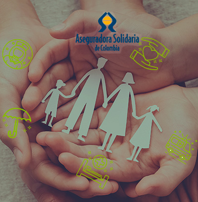 solidaria-novedades