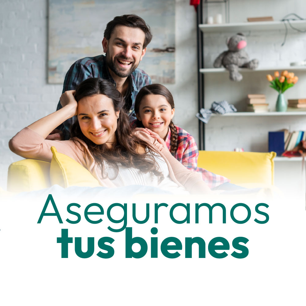 Seguros